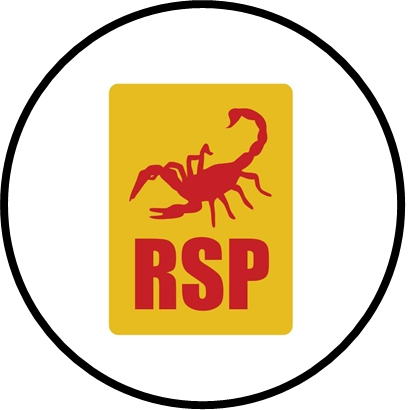 RSP in Education: Understanding Reading Support Programs