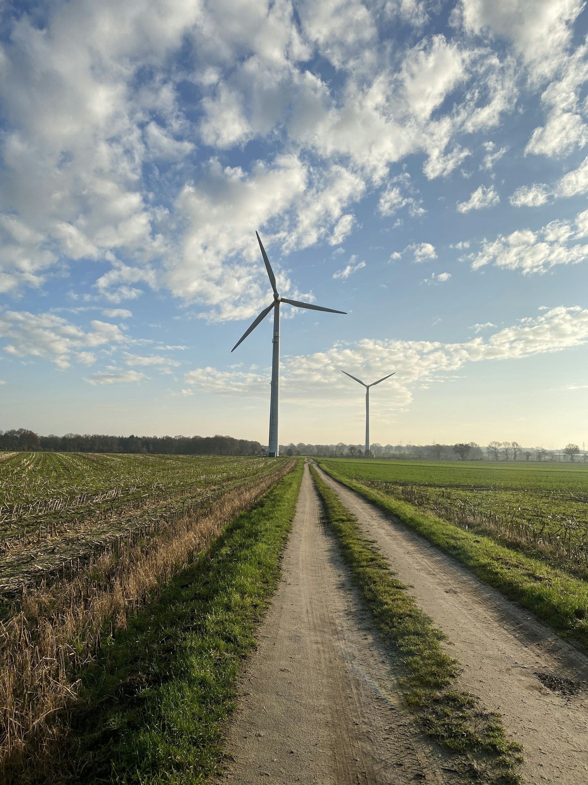 Exploring Career Paths in Renewable Energy Policy: Opportunities, Skills, and Next Steps